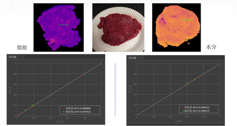 圖 9：事實(shí)證明，Specim FX17 高光譜相機(jī)及其 NIR 光譜范圍非常善于準(zhǔn)確測(cè)量肉末的水分和脂肪含量