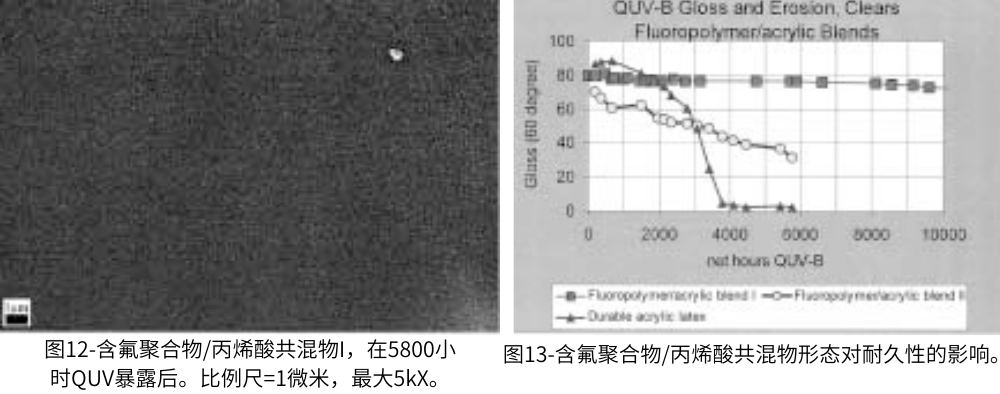 圖12-含氟聚合物丙烯酸共混物I，在5800小時(shí)QUV老化測(cè)試后的情況；圖13含氟聚合物丙烯酸共混物形態(tài)對(duì)耐久性的影響