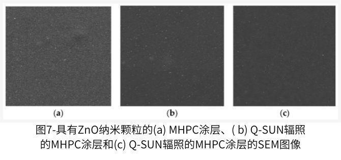 圖7顯示了包含ZnO納米顆粒的涂層的SEM圖像